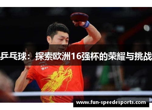 乒乓球：探索欧洲16强杯的荣耀与挑战