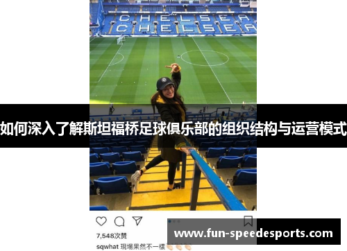 如何深入了解斯坦福桥足球俱乐部的组织结构与运营模式
