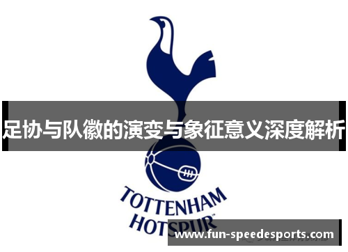 足协与队徽的演变与象征意义深度解析
