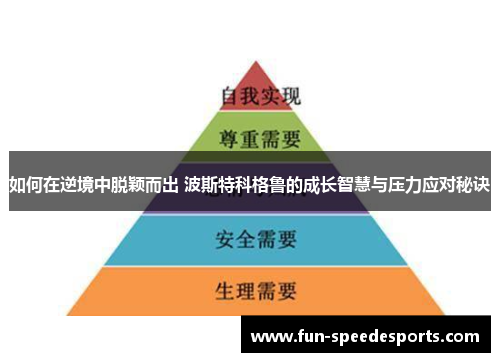 如何在逆境中脱颖而出 波斯特科格鲁的成长智慧与压力应对秘诀